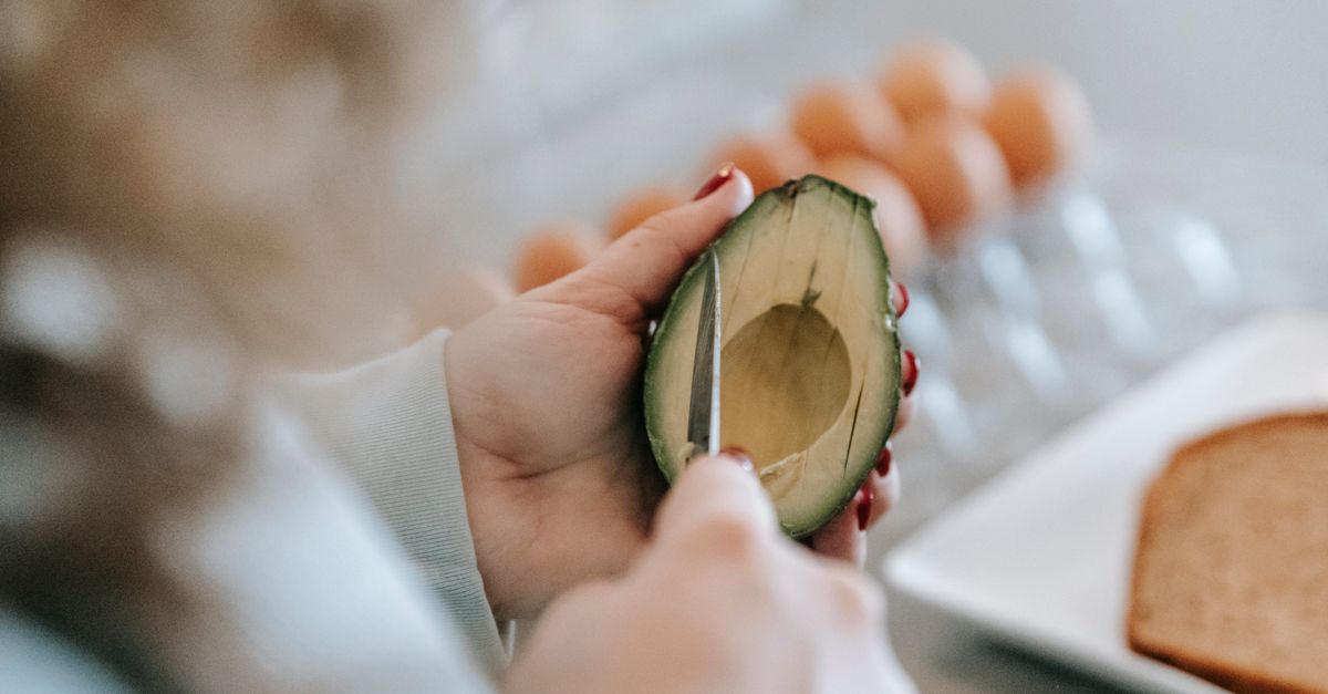 단백질 섭취량 과다