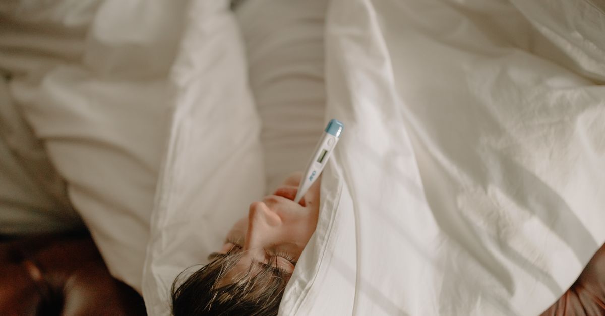 일반 독감, 언제 시작되나요?