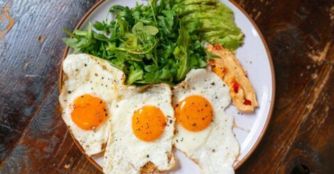 키토 다이어트 원리, 체중이 빠지는 핵심이 ‘식단’인지 ‘측정’인지 초보가 헷갈리는 지점 키토제닉 다이어트, 키토시스란 무엇인지 케톤체 생성 흐름과 첫 적응기 체크포인트