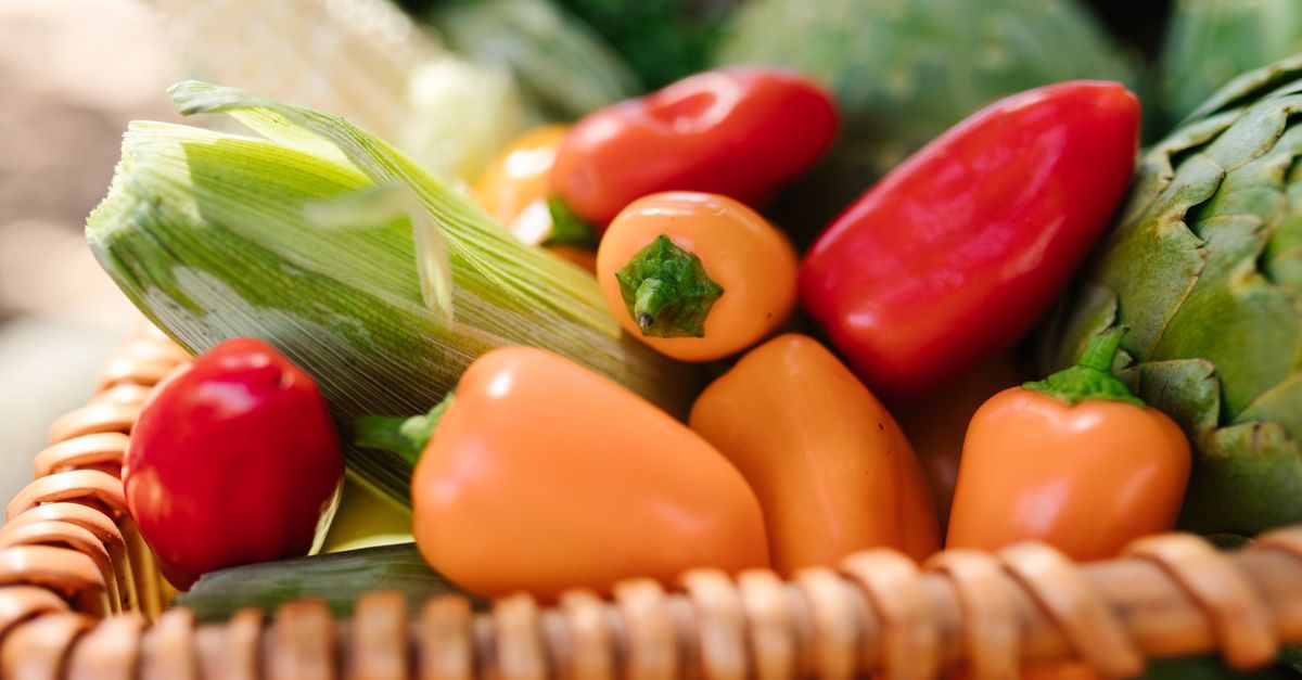 기록 도구와 식사 보조 제품 고르는 기준