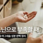 마그네슘 영양제 Theralogix Magnesium L-Theanine Complex, 수면 보조 성분은 무엇이 다른가