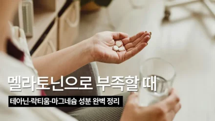 마그네슘 영양제 Theralogix Magnesium L-Theanine Complex, 수면 보조 성분은 무엇이 다른가
