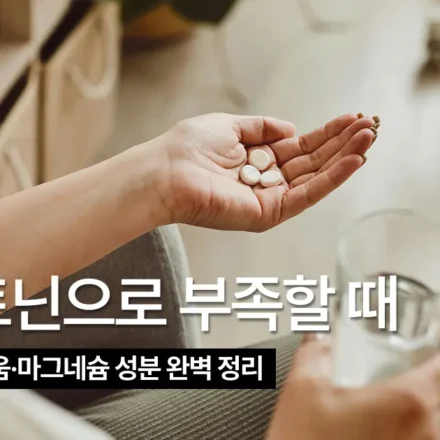 마그네슘 영양제 Theralogix Magnesium L-Theanine Complex, 수면 보조 성분은 무엇이 다른가